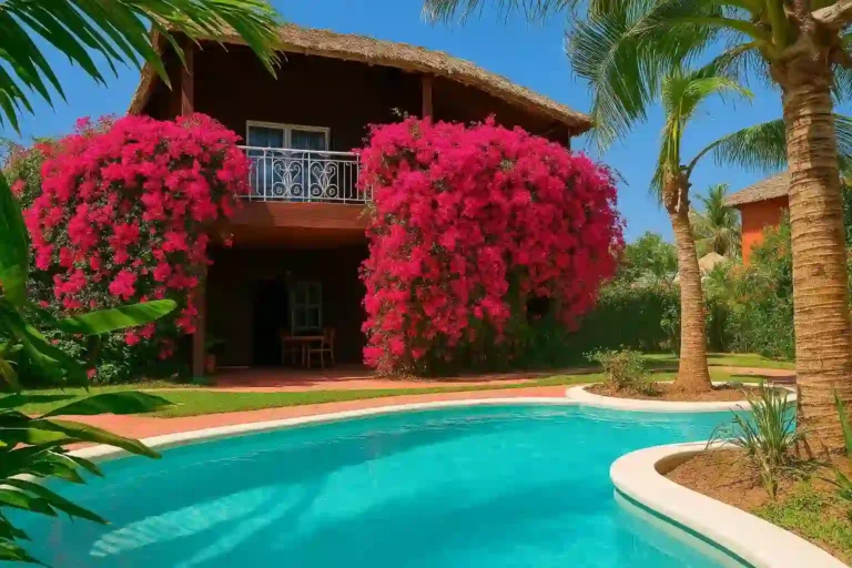 villa avec des fleurs et une piscine à Saly